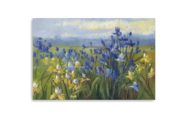 Blue/Yellow Flower Field V2 Canvas Art featuring multicolored blue and yellow flowers in a transitional style, printed on durable polyester fabric and hand-stretched over solid pine.