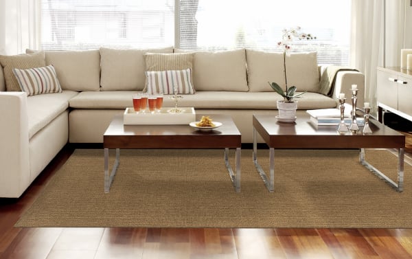 Rustic Saba 5' x 8' brown solid indoor/outdoor rug in polypropylene, featuring seagrass texture, placed under modern wooden coffee tables in living room.