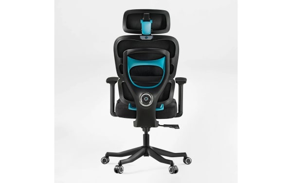 Ergonomic black and blue office chair with adjustable headrest, mesh backrest, padded seat, armrests, and five caster wheels for mobility.