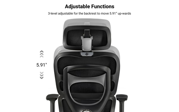 Adjustable ergonomic office chair backrest with 3-level height adjustment moving 5.91 inches upwards for customized comfort.
