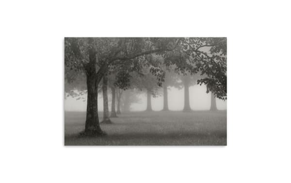 Morning Fogline canvas wall art featuring misty gray trees in fog, printed on thick archival polyester canvas, hand-stretched over solid wood frame, traditional style.