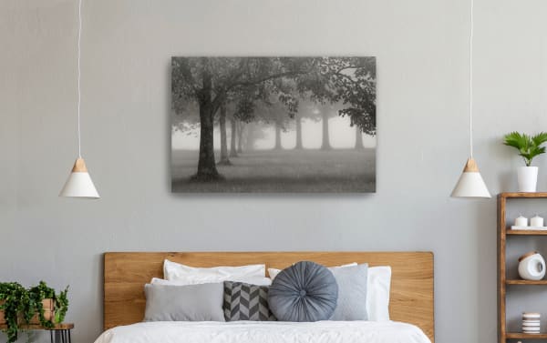 Morning Fogline canvas wall art in light gray and smoke gray, traditional style, hand-stretched polyester fabric on solid wood frame, misty tree landscape.