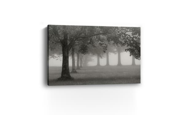 Morning Fogline canvas wall art in traditional style, featuring misty gray trees printed on thick polyester fabric canvas, hand-stretched over solid wood frame.