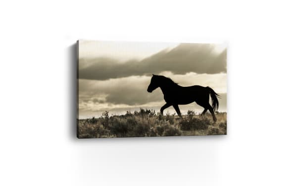 Silhouette of a black horse walking on grassy terrain under a cloudy sky, printed on a rectangular canvas wall art.