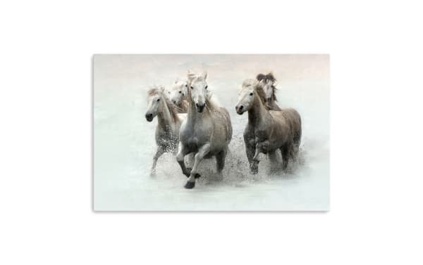 Five white and light gray horses running through shallow water, splashing droplets, with a soft pastel background, conveying energy and freedom.