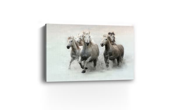 Five white horses running through water with splashes, captured on a canvas print with a soft, muted background.
