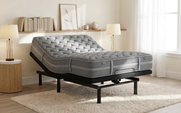 Power Bob Elite Base with Treasure 11.5'' Queen Dual Mattress