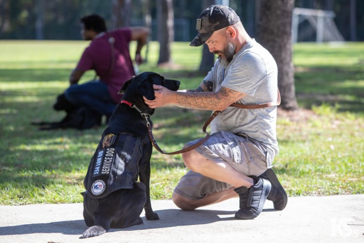 Man kneeling on a sidewalk training a black service dog wearing a vest labeled "DO NOT PET SERVICE DOG" in a sunny park setting.