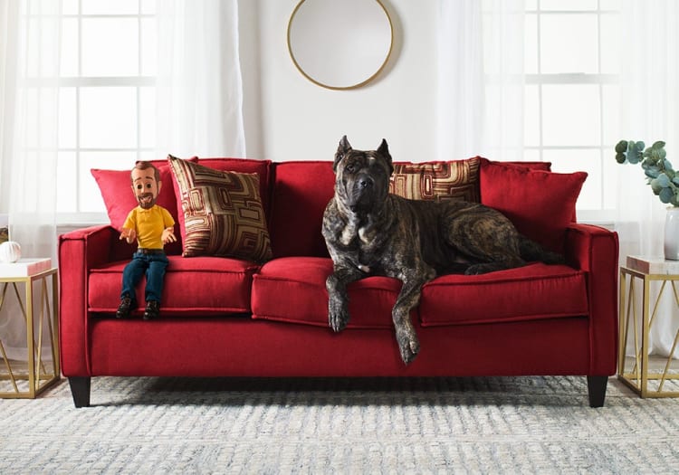 Brindle dog lying on a modern red fabric sofa with geometric patterned cushions in a bright living room with white curtains and gold-accented side tables.