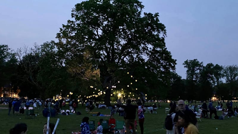 Evening outdoor gathering in a park with large tree, string lights, and people sitting on chairs and blankets on grass.
