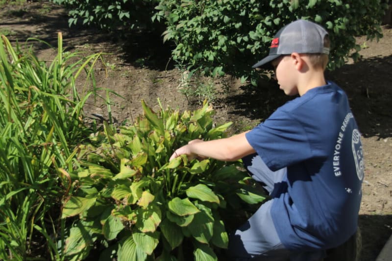 A person wearing a blue t-shirt with "EVERYONE DESERVES" text on the back and a gray cap is crouching outdoors near green leafy plants in a garden setting.