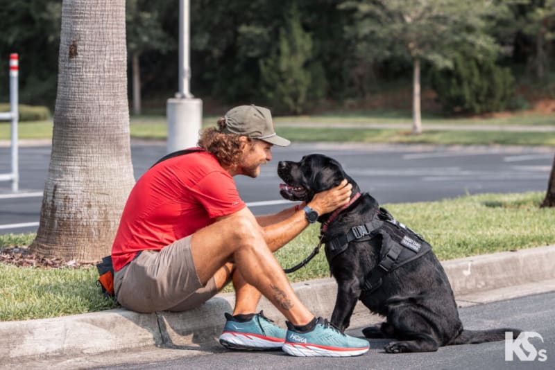 Man in red shirt and gray shorts sitting on curb petting a black service dog wearing a harness labeled "Service Dog In Training."