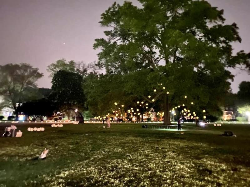 Park at night with large trees decorated with numerous glowing yellow lanterns, creating a warm, festive outdoor ambiance.