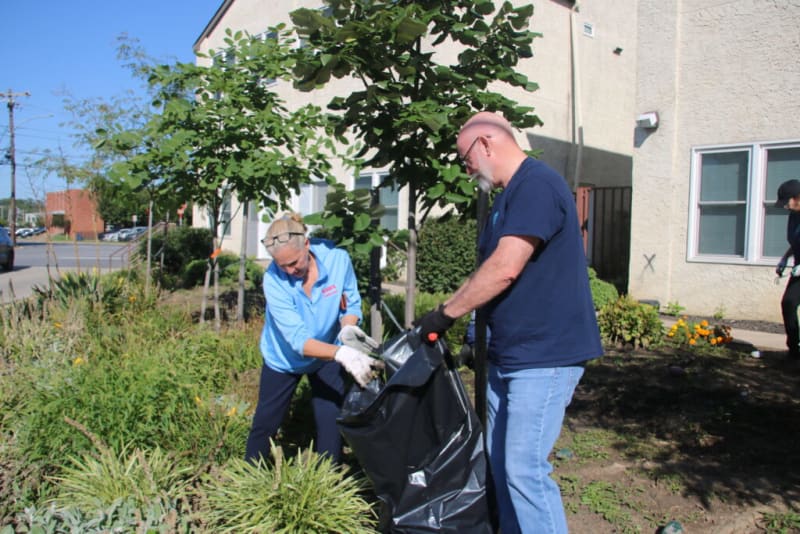 Two people wearing gloves cleaning up a garden area outside a building, placing debris into a large black trash bag under clear daylight.