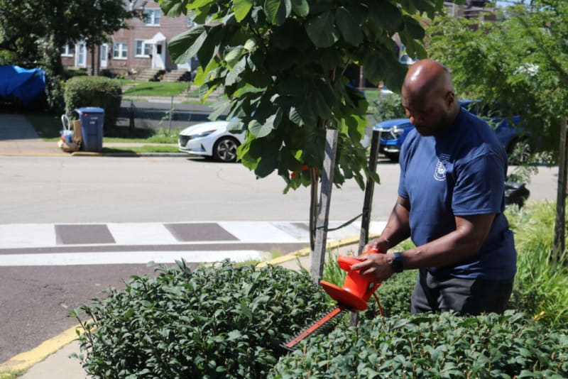 Man trimming green bushes with a red electric hedge trimmer outdoors near a sidewalk and street on a sunny day.