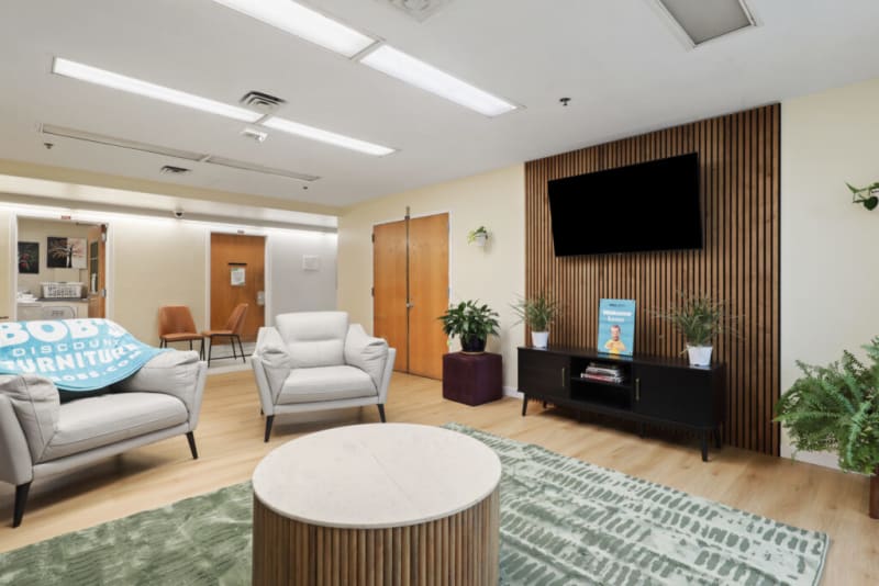 Modern living room with light wood flooring, two gray leather armchairs, round wooden coffee table, green patterned rug, wall-mounted TV on wood panel, and decorative plants.