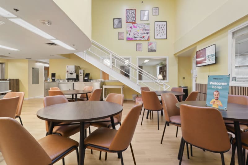 Modern communal dining area with round wooden tables and tan leather chairs, light wood flooring, yellow walls, staircase, and wall art.