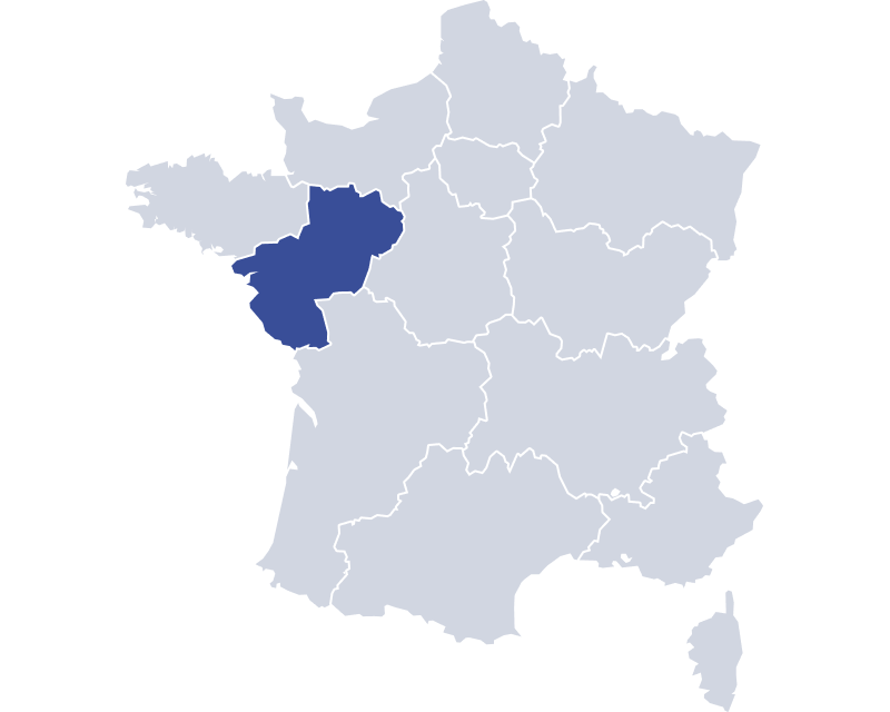 Les chiffres de la rénovation à Nantes 