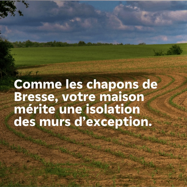 Un expert en isolation par l’extérieur à Bourg-en-Bresse avec IZI by EDF !