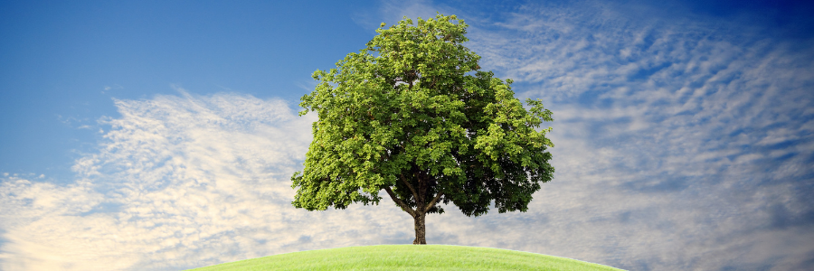 fluide naturel pour les pac de demain