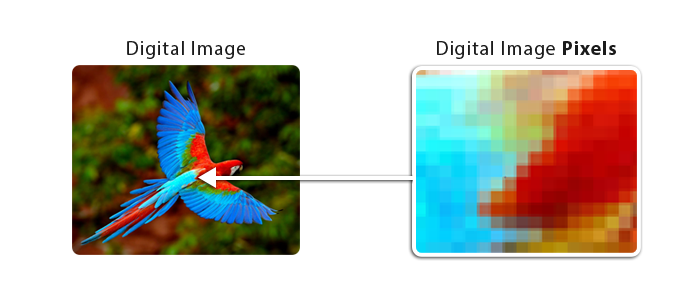 digital image pixels