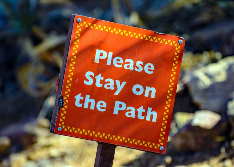 How to Make a Yard Sign [6 Steps + Helpful Tips]
