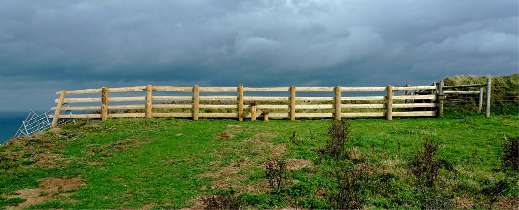 Fence Image by Andrew Martin from Pixabay