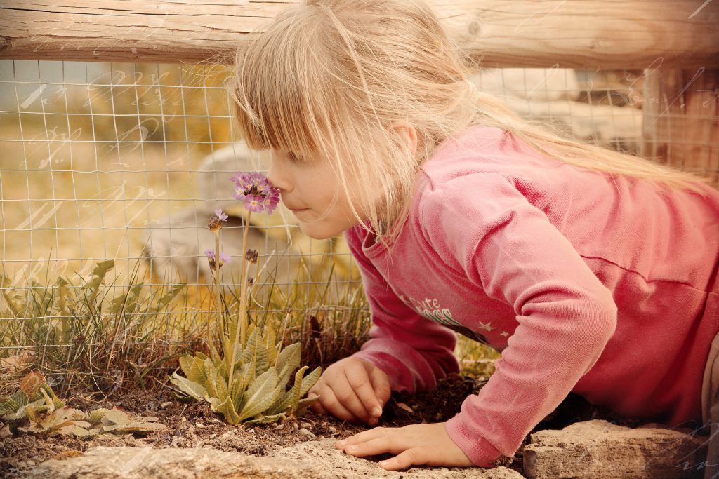 Girl smelling flower on the ground.
