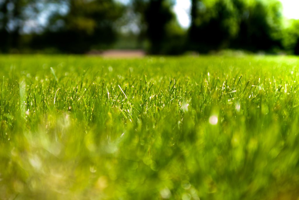 How to Get Clients Year-Round with a Lawn Care Marketing Calendar ...