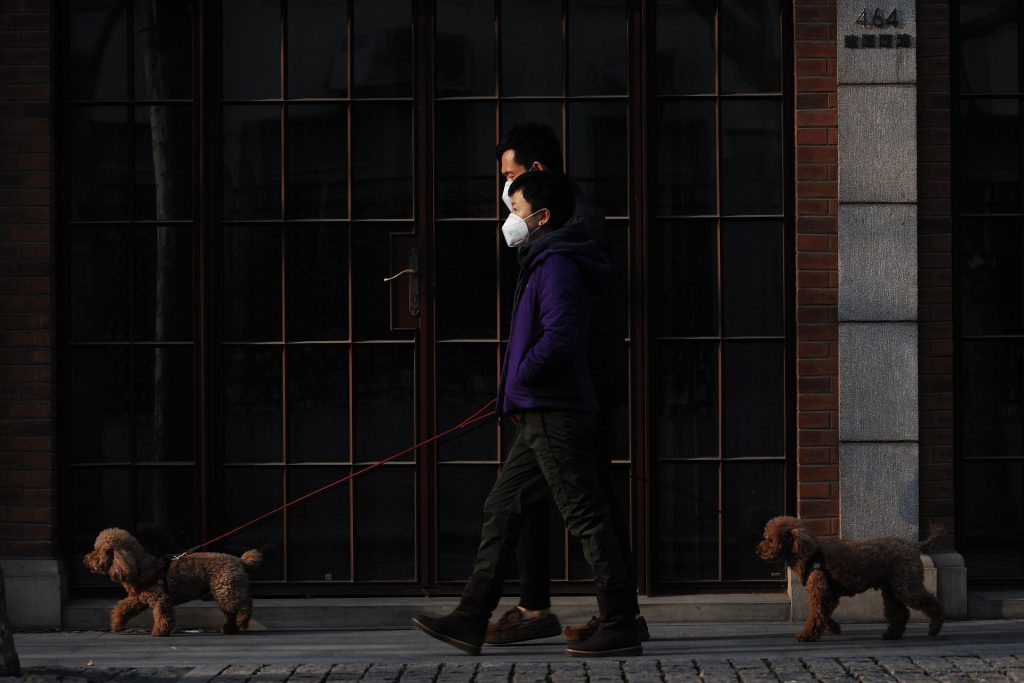 Masked Dog-Walking Image