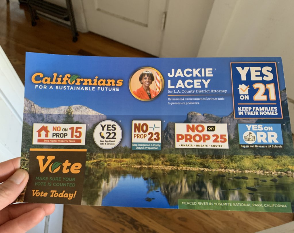 Californians for a Sustainable Future Slate Mailer 2020 via LA Taco