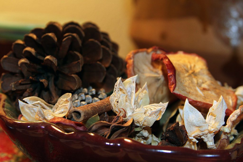 Fall potpourri