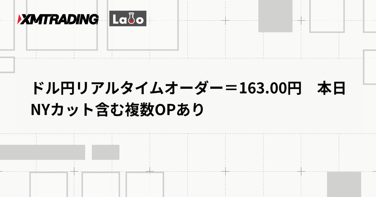 ドル円リアルタイムオーダー＝163.00円　本日NYカット含む複数OPあり