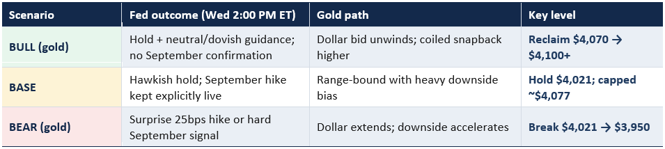 2026-07-28 14_39_18-gold_dollar_into_the_fed.docx - Word