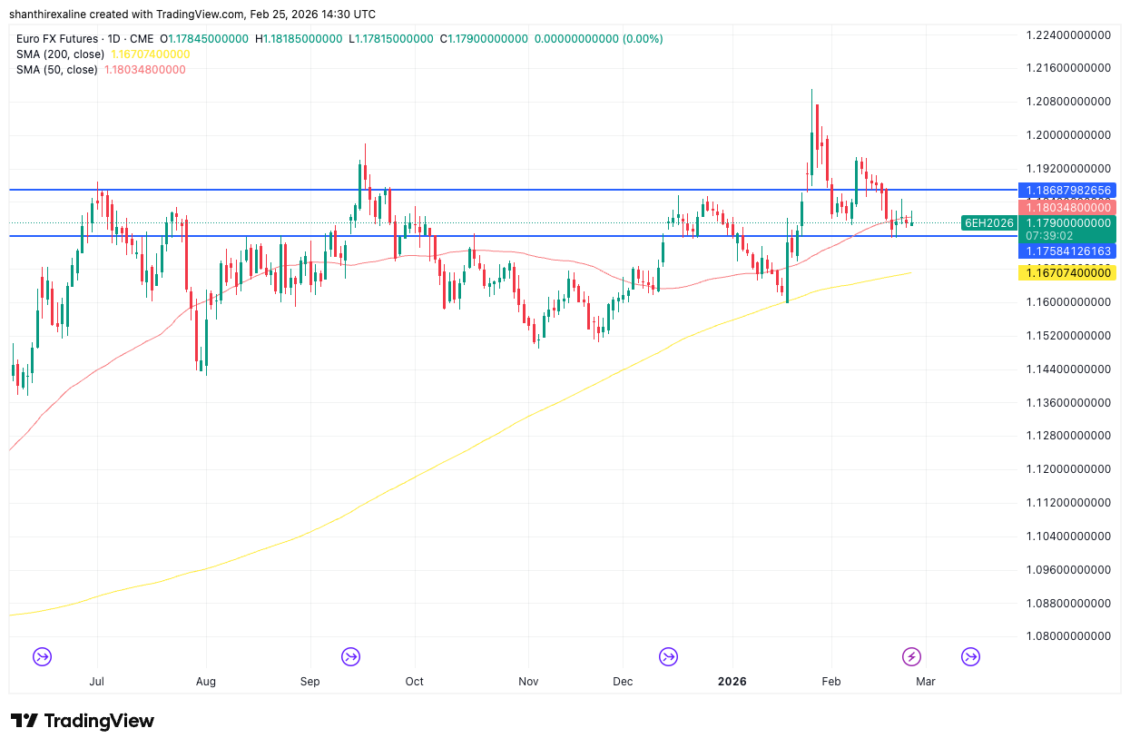 Euro FX Futures (1-Year Chart)