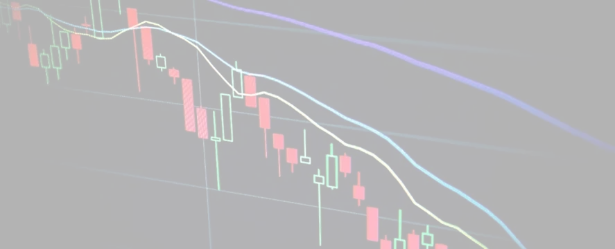 Forex Backtesting.webp