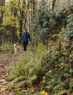 Walk