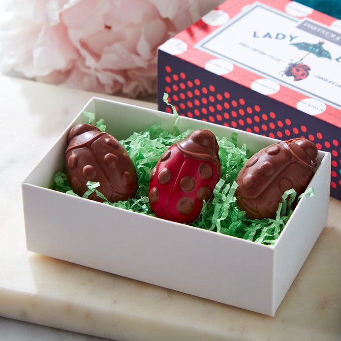 Lady Luck Chocolate Ladybird Matchbox