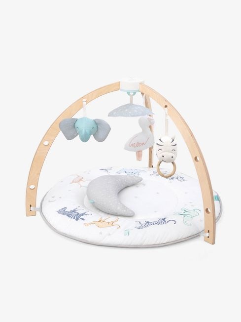 aden + anais Baby Activity Gym in