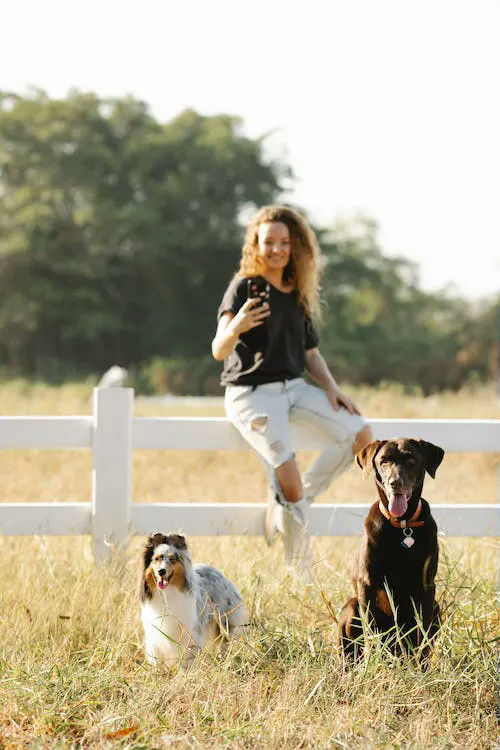 pet memorial gifts