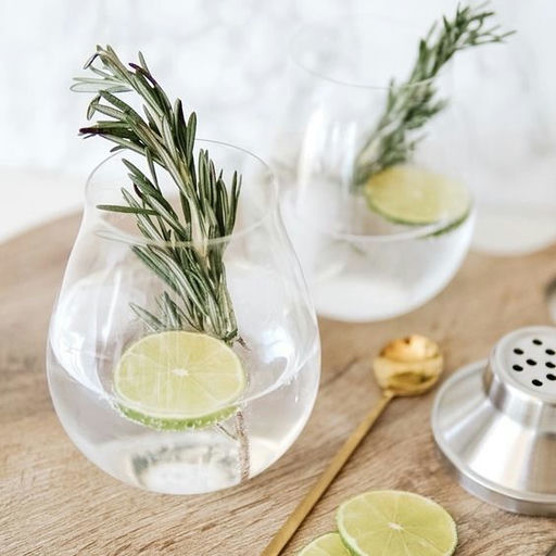 gin glass gift set