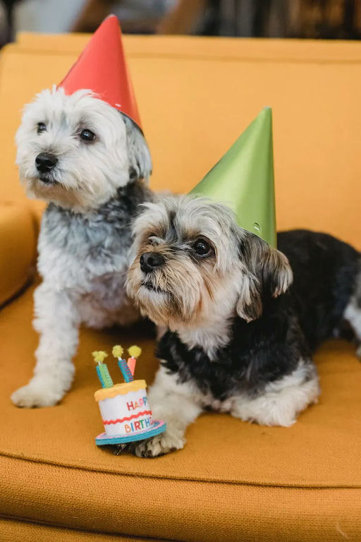 gifts about dogs