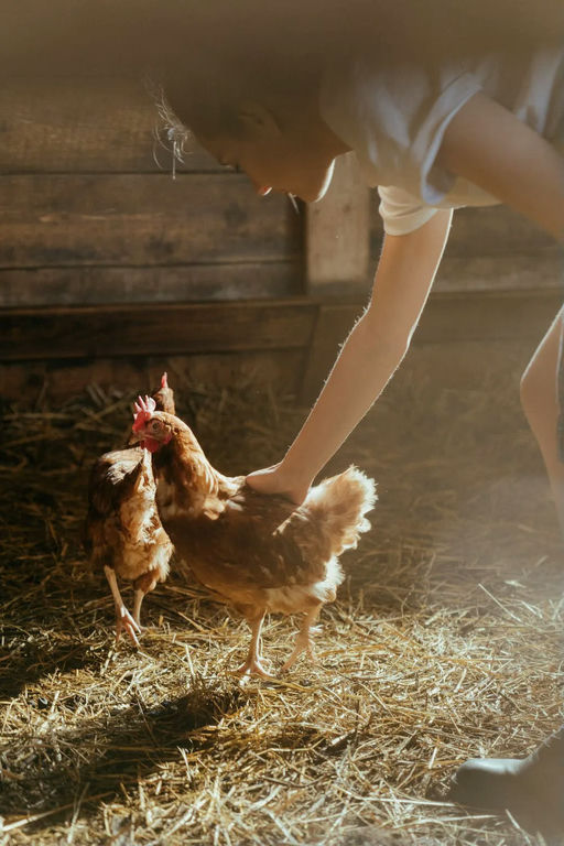 gifts for farmers