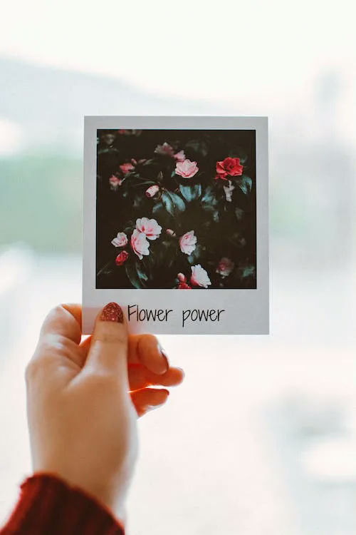photo gifts uk