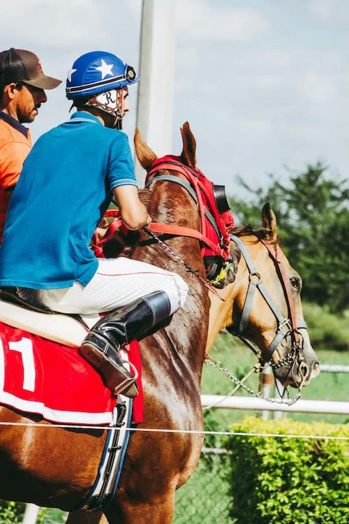 horse racing gifts