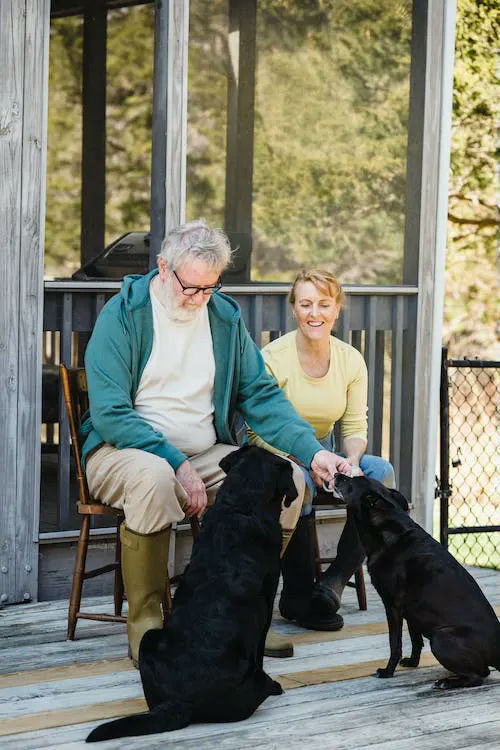gifts for dog owners