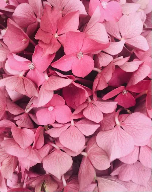 pink gifts