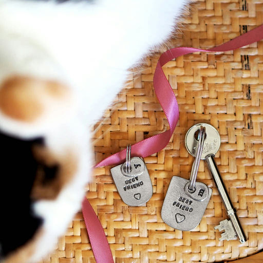 'Best Friend' Keyring & Pet Collar Charm Gift Set