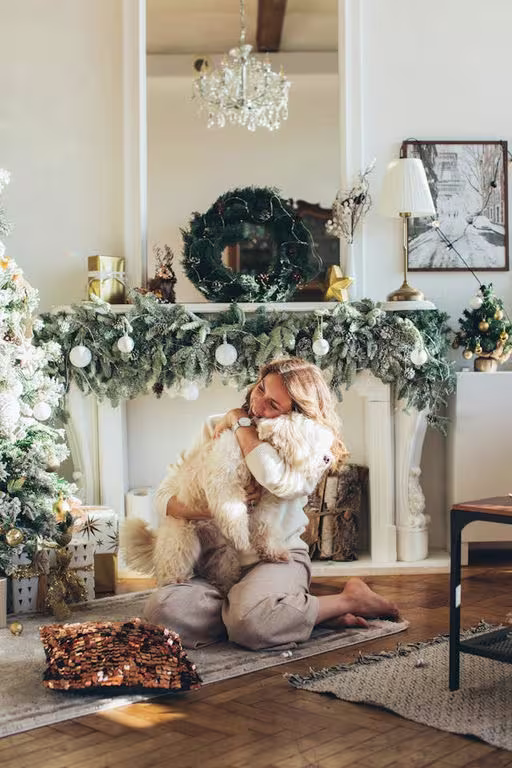 9 Christmas Gifts for Dogs