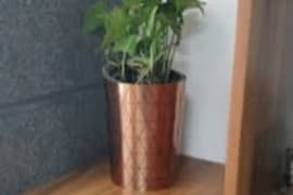 Ecospace Coworking coworking space in Ashok Nagar, Jaipur